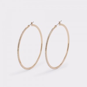 Aretes Aldo Eryri Hoop earrings Mujer Dorados | UQDNCP813