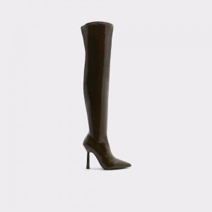 Botas Aldo Nella Over-the-knee boot Mujer Kaki | RCBSTJ486