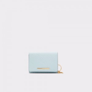 Carteras Aldo Iconipouch Wallet Mujer Azules Claro | UDSJCQ675