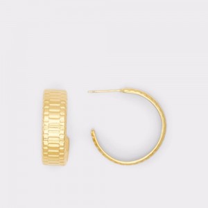 Fine Jewelry Aldo Lothoa earrings Mujer Dorados | WQALFH807