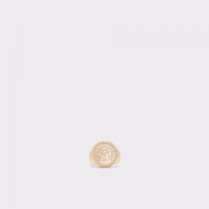 Joyeria Aldo Cadaewien Ring Hombre Dorados | YWZFNH321