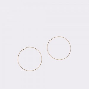 Joyeria Aldo Thilisien Hoop earrings Mujer Dorados | RTSAWQ560