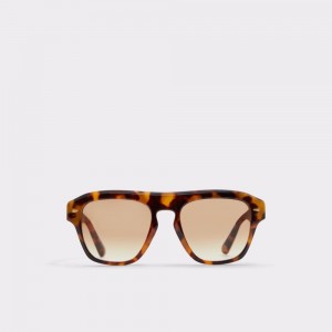 Lentes de Sol Aldo Milicien Sunglasses Hombre Marrom | QYHFIX513