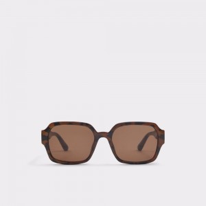 Lentes de Sol Aldo Quoll Sunglasses Hombre Marrom | QGSOXM284