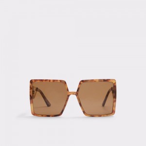 Lentes de Sol Aldo Ybaledia Square sunglasses Mujer Marrom | ZEURYS586