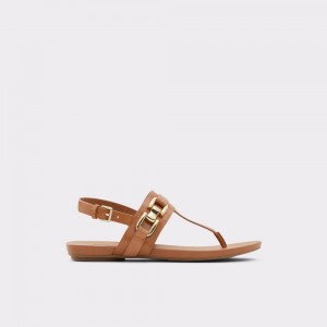 Sandalias Aldo Gannamaryn T-strap sandal Mujer Marrom | AVNOLB094