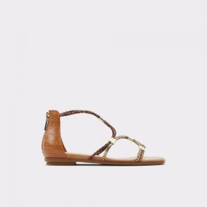 Sandalias Aldo Oceriwenflex Strappy flat sandal Mujer Marrom | BWZHRG498