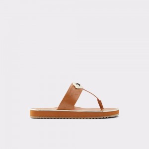 Sandalias Aldo Searene Flip flop Mujer Marrom | EPZVBR936